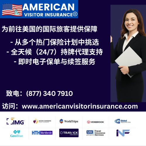 american visitor 保险