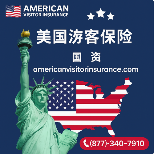美国游客保险
