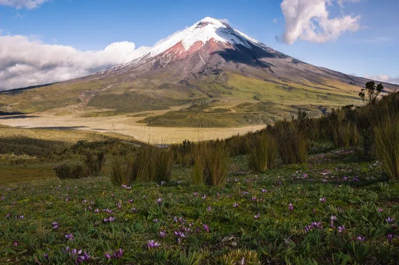 Seguro de viaje para el Parque Nacional Cotopaxi Ecuador