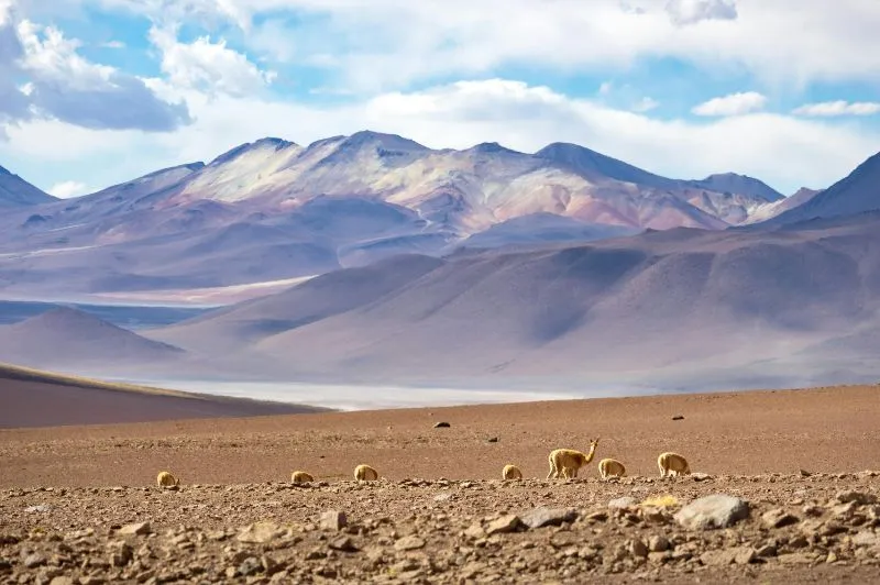 Seguro de viaje para La Paz Bolivia