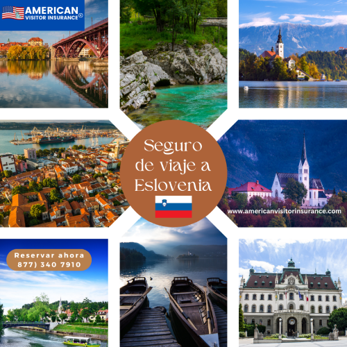 Pasos para comprar Seguro de viaje de Visado de Eslovenia