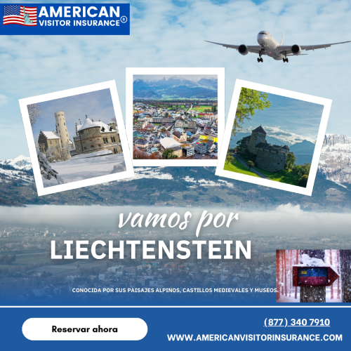 Pasos para comprar Seguro de viaje de Visado de Liechtenstein