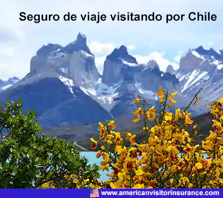 travel insurance for visiting Chile