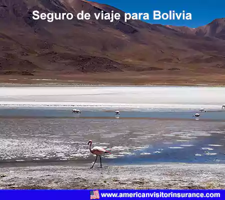 travel insurance for visiting Bolivia