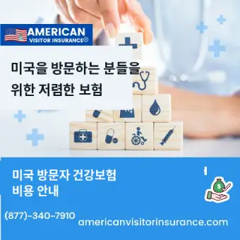 미국 방문자 건강보험 비용