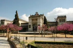 Archeology Museum Seville travel insurance