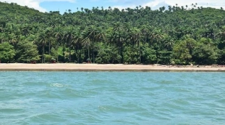 Iles de Los