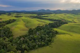 Lopé National Park