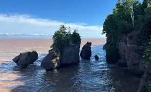 Bay of Fundy Canada travel insurance
