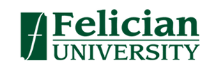 Felician College student insurance