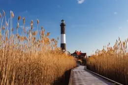 
Fire Island