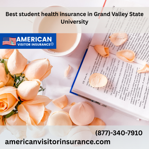 International student Insurance for Grand Valley State University