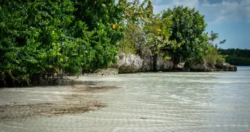 Los Haitises National Park cave rappelling Dominican Republic