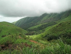 Mount Nimba