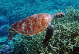 National Marine Sanctuary