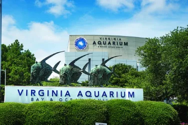 India travel to Virginia Aquarium, Virginia