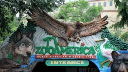 India travel to ZooAmerica