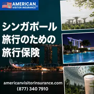 Best Travel Insurance for Singapore from Japan